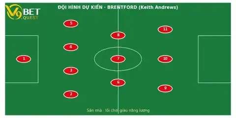 Soi kèo Brentford vs Tottenham, 23h30 ngày 22/8: Ngày trở về của Frank 3 Đội hình dự kiến Brentford vs Tottenham