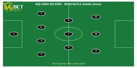 Soi kèo Newcastle vs Liverpool, 22h30 ngày 23/8: Isak đại chiến đội cũ 3 Đội hình dự kiến Newcastle vs Liverpool